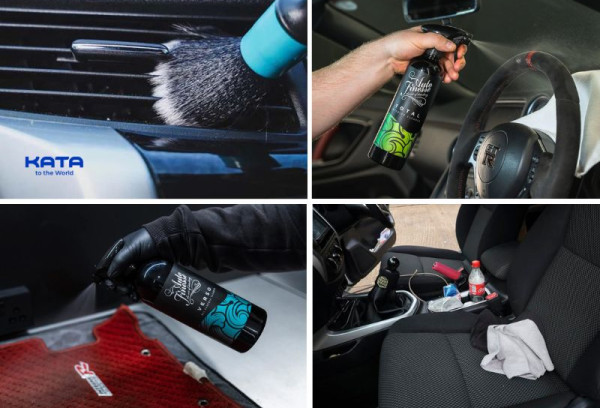 Remove Carpet Beetles From Your Car Fast Before They Spread